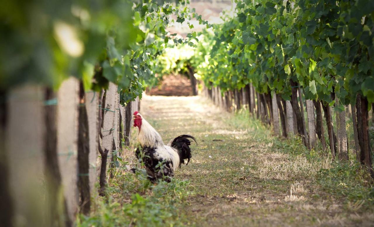 Tenuta Jumara Ξενοδοχείο San Lorenzo Maggiore Εξωτερικό φωτογραφία